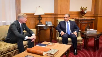 وزير الخارجية المصري يؤكد التزام بلاده بدعم وحدة الدولة اليمنية