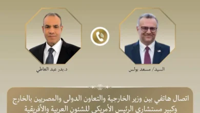 وزير الخارجية المصري يؤكد دعم بلاده لوحدة السودان