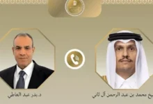 وزير الخارجية المصري يؤكد رفض بلاده استخدام الممرات والمضايق كأداة للضغط والمساومة
