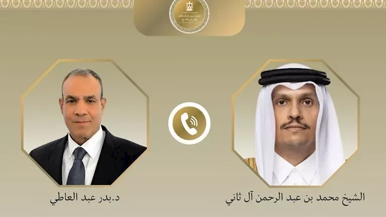 وزير الخارجية المصري يؤكد رفض بلاده استخدام الممرات والمضايق كأداة للضغط والمساومة