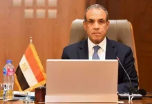 وزير الخارجية: مصر تعتمد آليات جديدة لدعم التنمية في إفريقيا