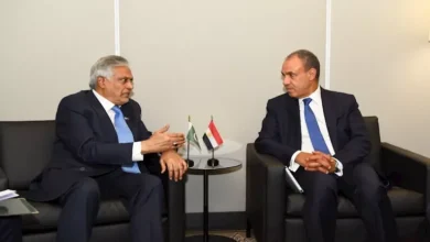 وزير الخارجية يؤكد أهمية تفعيل مجلس الأعمال المصري الباكستاني لزيادة الاستثمارات في مصر