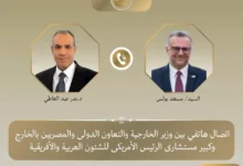 وزير الخارجية يؤكد التزام مصر بوحدة السودان