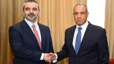 وزير الخارجية يؤكد التزام مصر بوحدة وسيادة سوريا