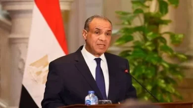 وزير الخارجية يؤكد عمق العلاقات التاريخية بين مصر وإيطاليا