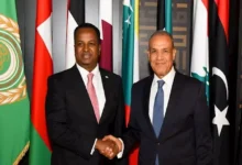 وزير الخارجية يبحث تعزيز الشراكة الاستراتيجية مع نظيره الصومالي وسلامة البحارة المصريين