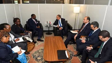 وزير الخارجية يبحث مع نظيره الكيني سبل تعزيز التعاون الثنائي وتطورات القرن الأفريقي والبحر الأحمر