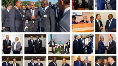 وزير الخارجية يعزز جهوده لدعم الدول الإفريقية خلال الجمعية العامة للأمم المتحدة