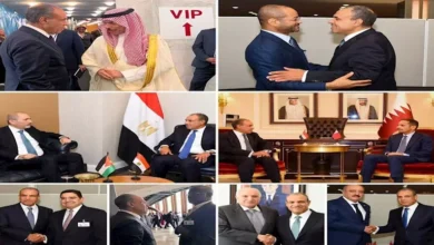 وزير الخارجية يعقد اجتماعات مع نظرائه العرب في نيويورك