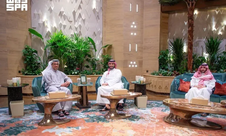 ولي العهد السعودي ونائب رئيس الإمارات يناقشان مستجدات الأوضاع في المنطقة