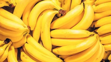 الموز: فاكهة تعزز الهضم وتدعم صحة العضلات والأعصاب