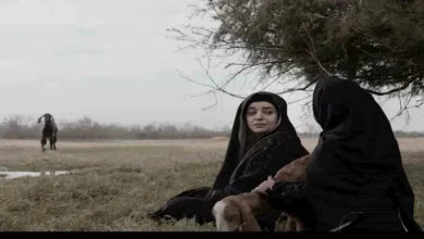 عرض الصور الأولى من فيلم "الخبيث" للمخرج جاد شاهين قبل مهرجان الجونة السينمائي