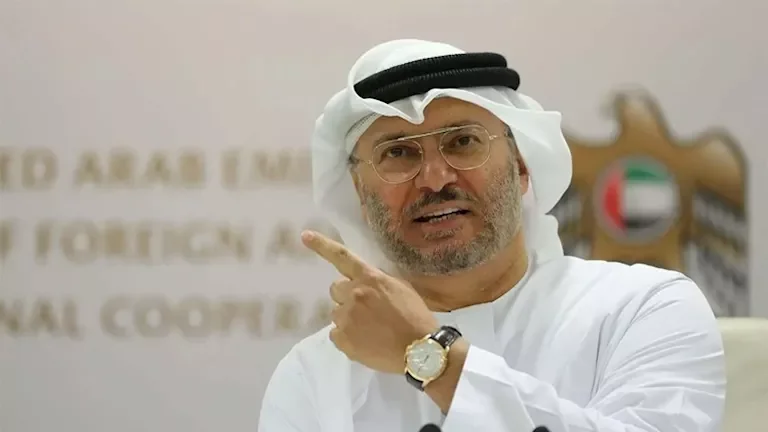 مستشار رئيس الإمارات: حادث "فلاي دبي" عمل إرهابي والطيار الهندي بطل حقيقي