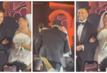نجوم الفن يتألقون في حفل زفاف ابن صابرين
