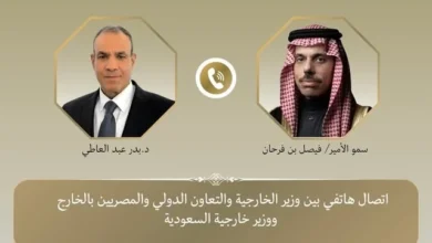 وزير الخارجية المصري يدين الاعتداءات على السعودية