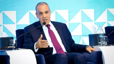 وزير الخارجية يؤكد على ضرورة تحويل خطط التنمية في أفريقيا إلى مشروعات واستثمارات